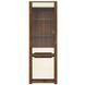 Витрина с подсветкой REG1W1D_LED RUSO BRW S407-REG1W1D+OPCJA2-DARL/PEP фото 2
