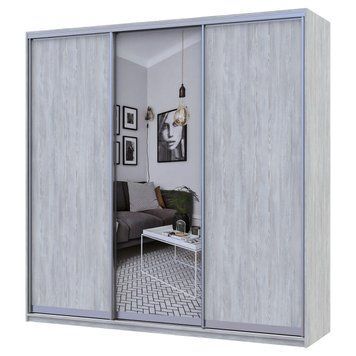 На фото шафа-купе Сіті Лайт Doros (Дорос) 2 ДСП / 1 Дзеркало 225х60х225 см сосна натті