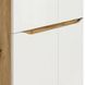 Спальня NUIS BRW S396-BEDROOM-DWO/BIP фото 5