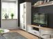 Гостиная LOKSA BRW S455-LIVING-APW фото 1