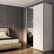 Шафа-купе G-Кайзер Doros (Дорос) 1 ДСП / 1 Дзеркало 160х60х240 42002103 фото 4