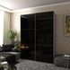 Шкаф-купе G-Кайзер Doros (Дорос) 2 Стекло 180х60х240 42005016 фото 5