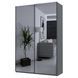 Шафа-купе G-Кайзер Doros (Дорос) 2 Дзеркала 160х60х240 графіт 42005021 фото меблі