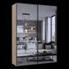 Шафа-купе G-Кайзер Doros (Дорос) 2 Дзеркала 180х60х240 80737752 фото 5