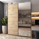 Шафа-купе G-Кайзер Doros (Дорос) 1 ДСП / 1 Дзеркало 180х60х240 42005013 фото 4