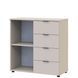 Комод Рон 1 Doros (Дорос) 1 дверка 4 шухляди 80х38х81 см 41516043 фото 3