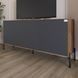 Тумба под телевизор с черными металлическими ножками LION Амарант 168x40x76,5 см дуб ливорно / графит 18065 фото мебель