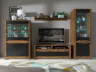 На фото комплект мебели для гостиной RUSO BRW дуб апрель / черный  с подсветкой стеклянных полок